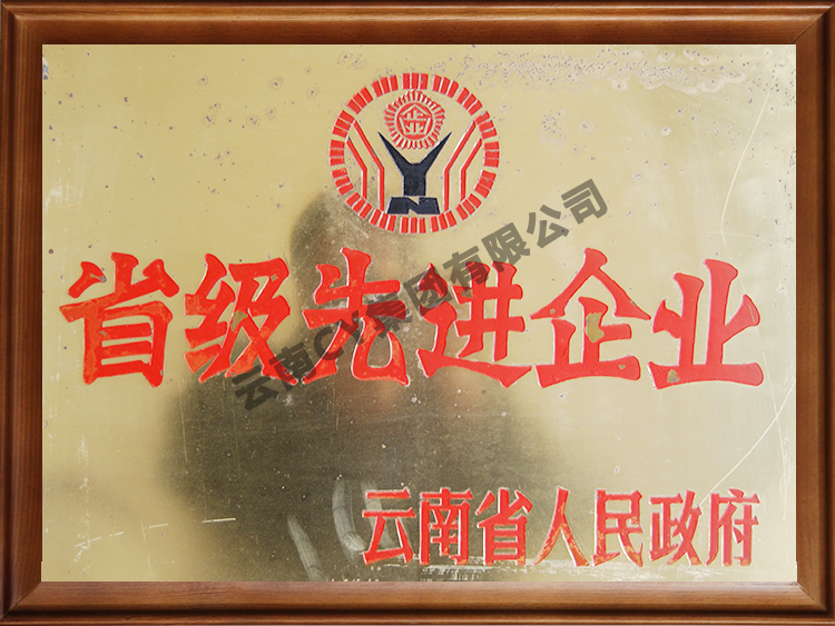 省级先进企业