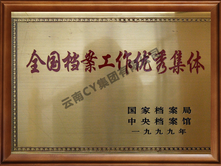 全国档案优秀集体