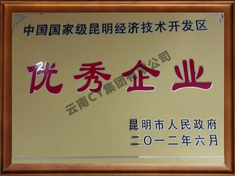 经开区优秀企业2012年
