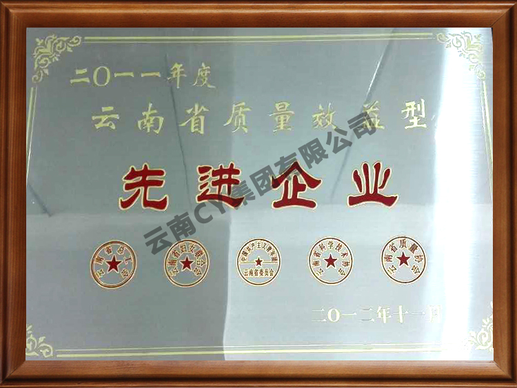 2011年度云南省质量效益型先进企业