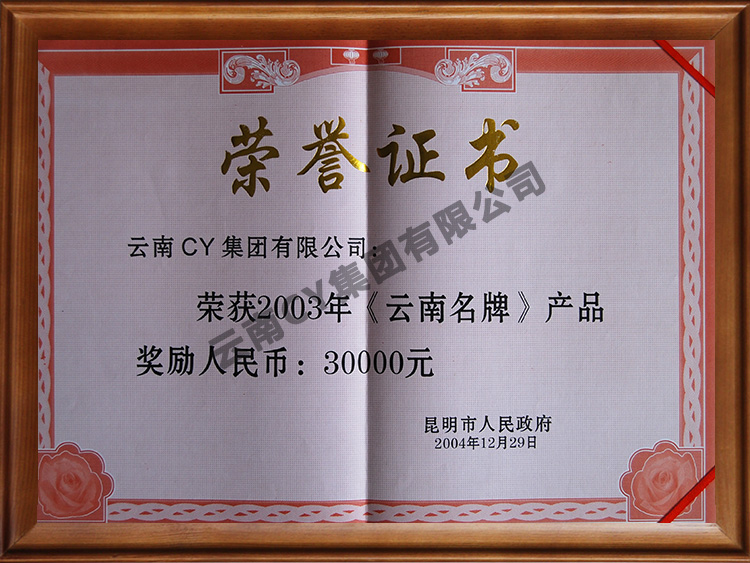 资质荣誉证书 (4)